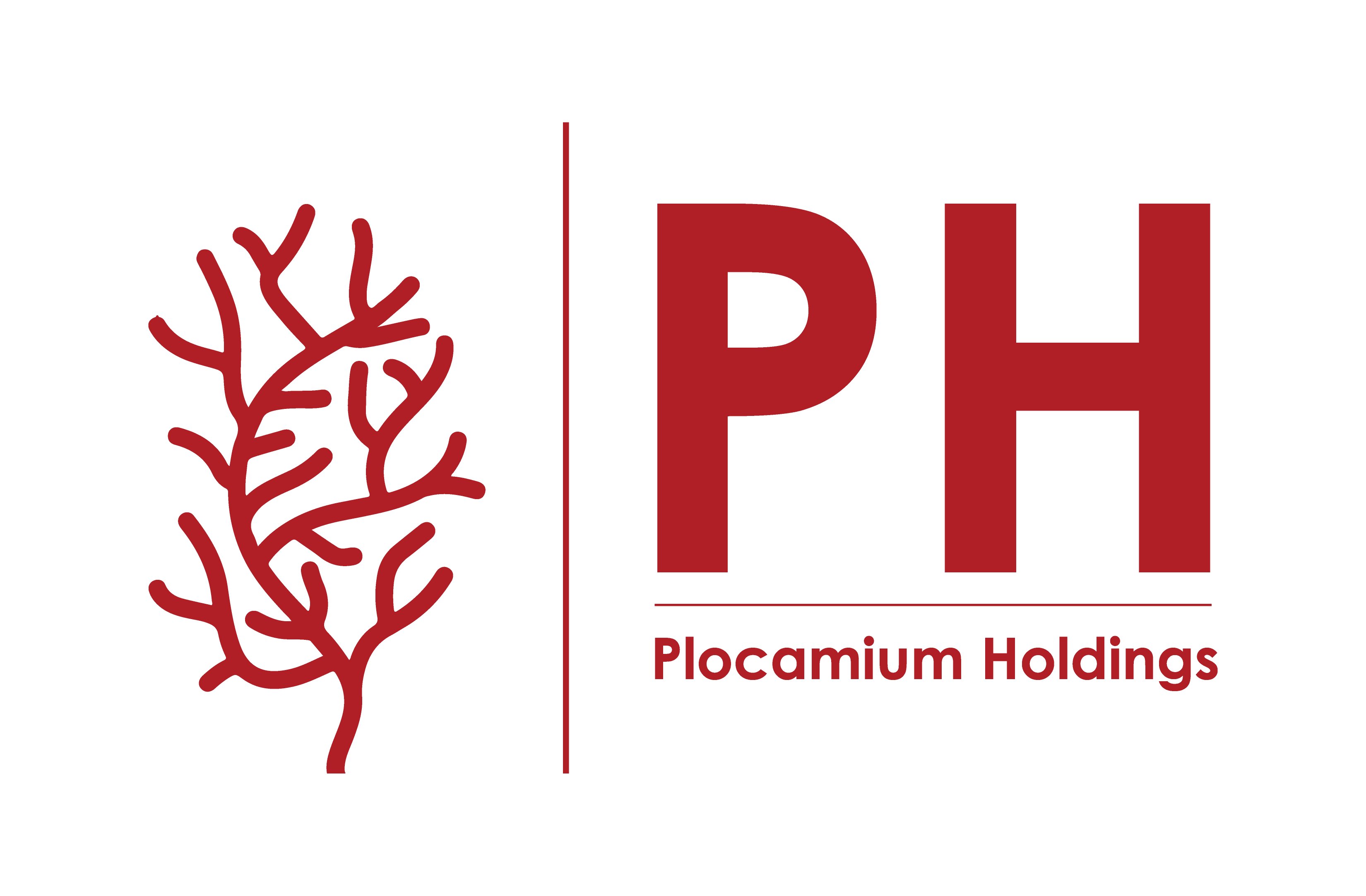Plocamium Holdings logo